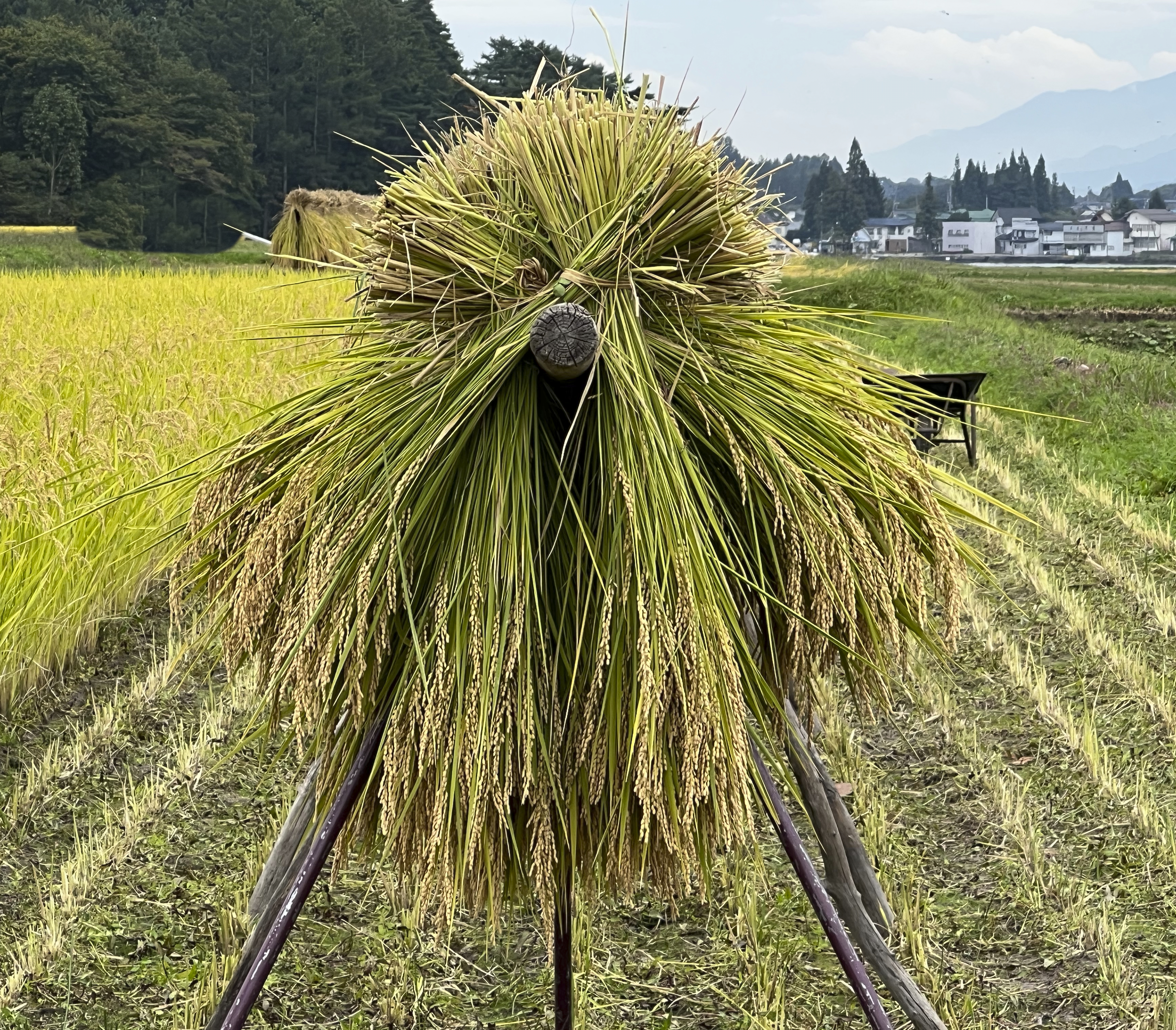 7 – Lake Kizaki, Japan