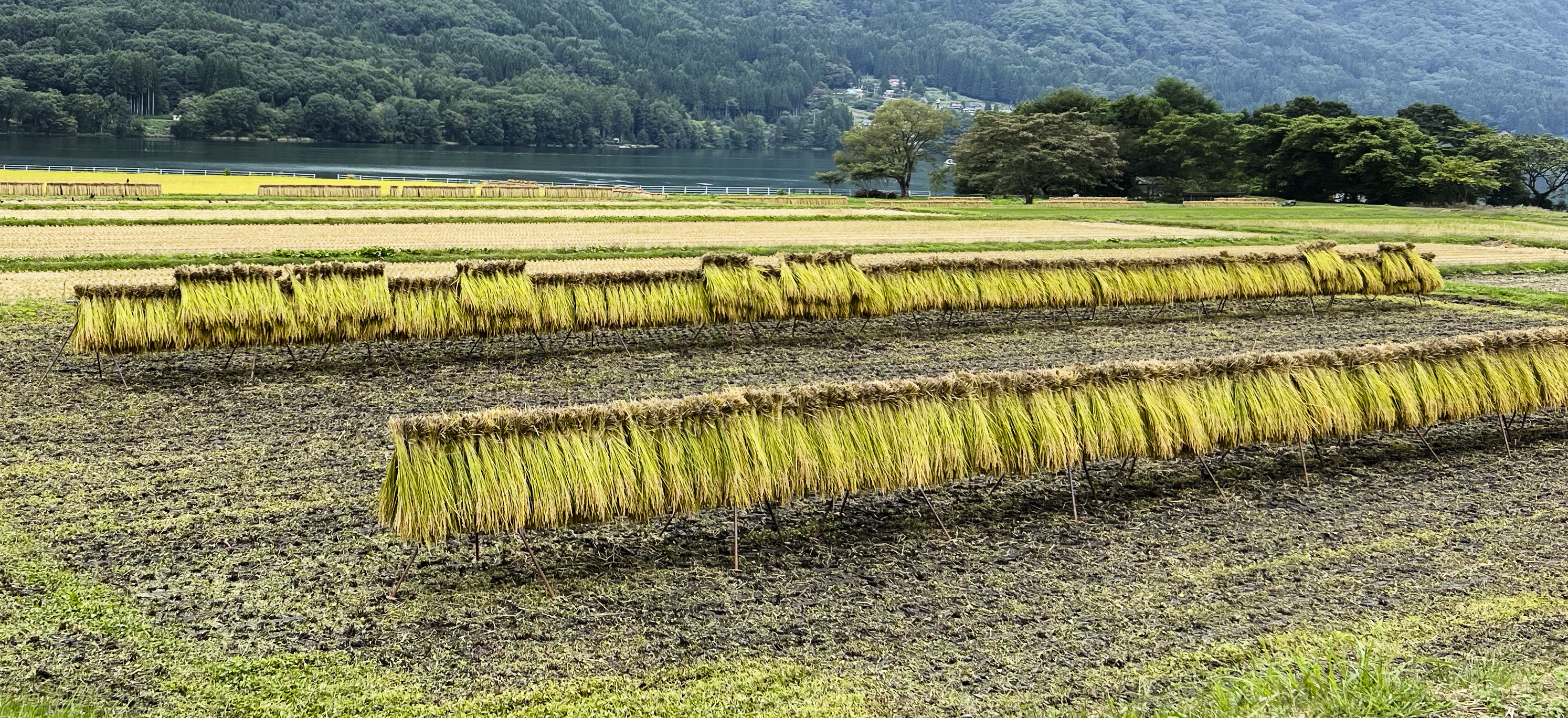 6 – Lake Kizaki, Japan