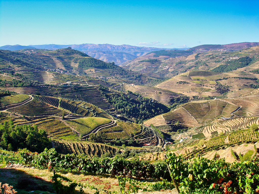 3 – Douro, Portugal