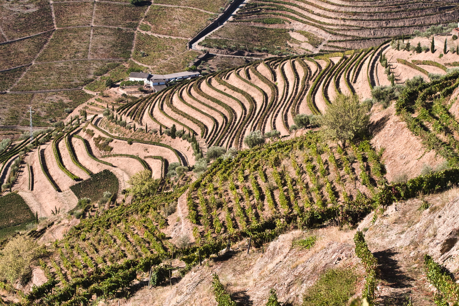 4 – Douro, Portugal