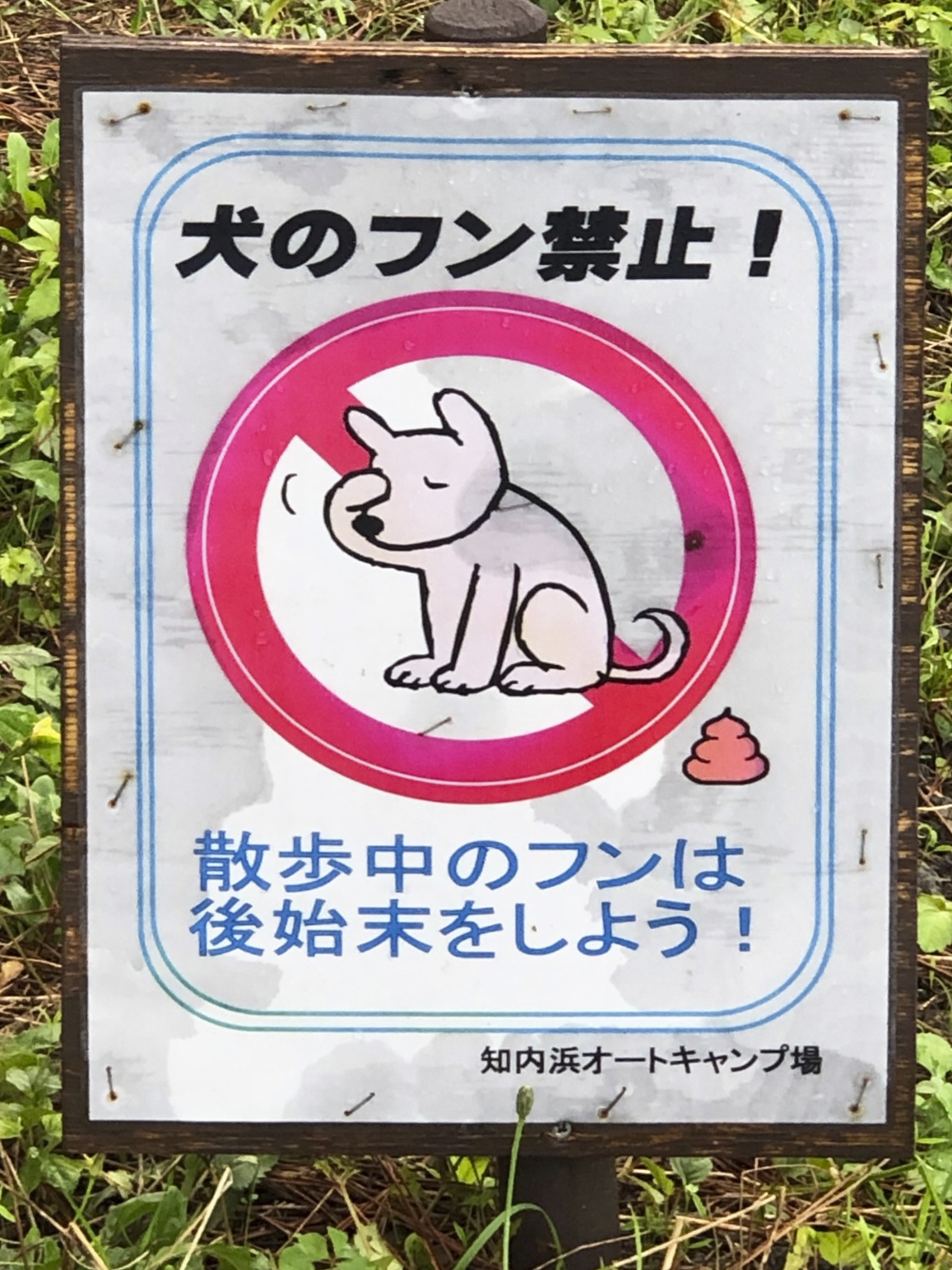 Makino – Embarrassed