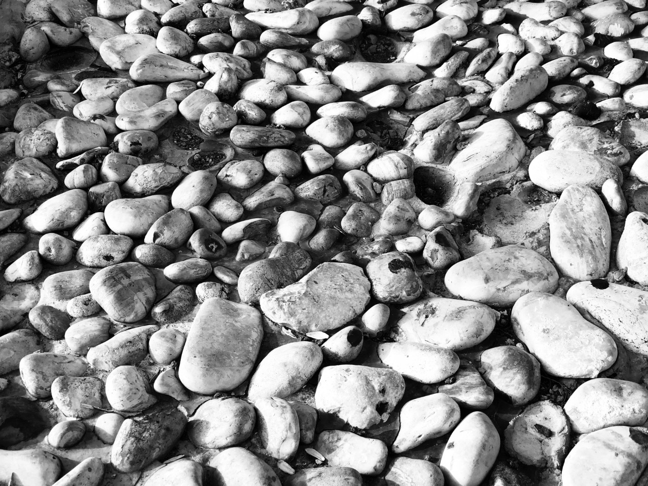 14 – Pavement, Israel