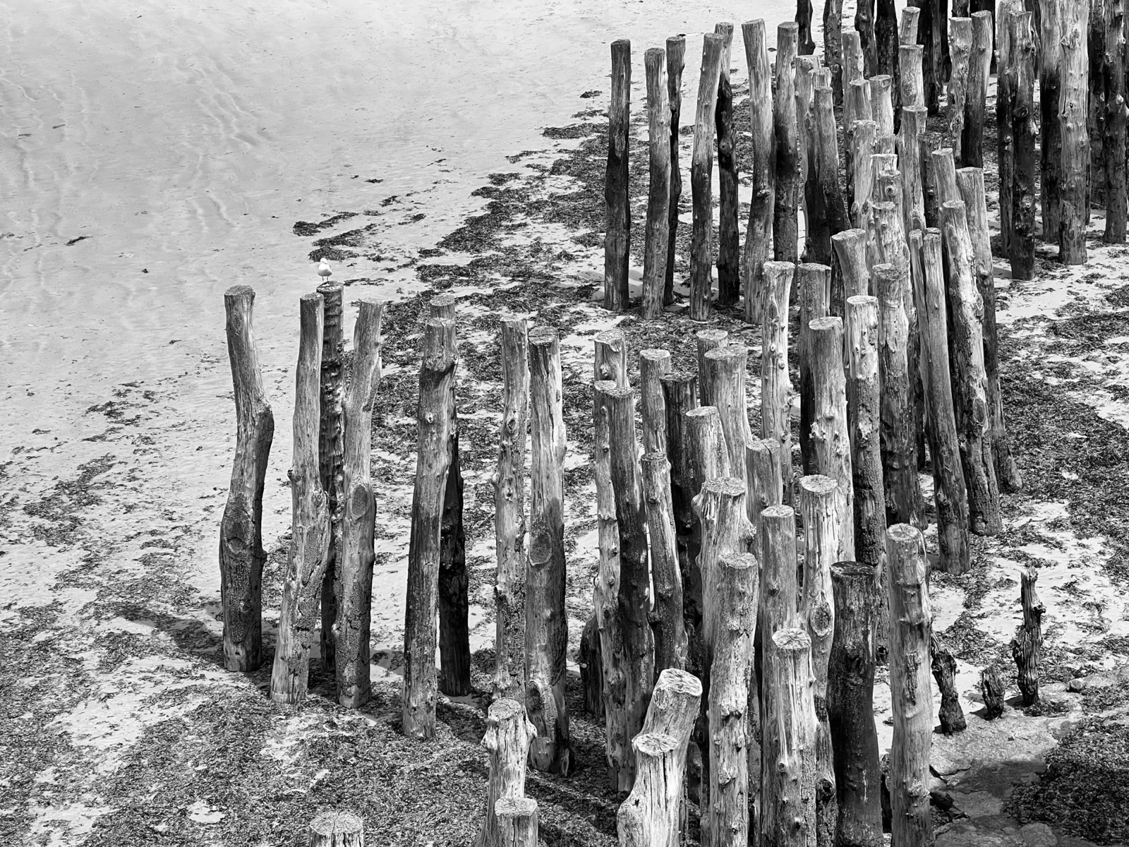 17 – Wavebreakers, France