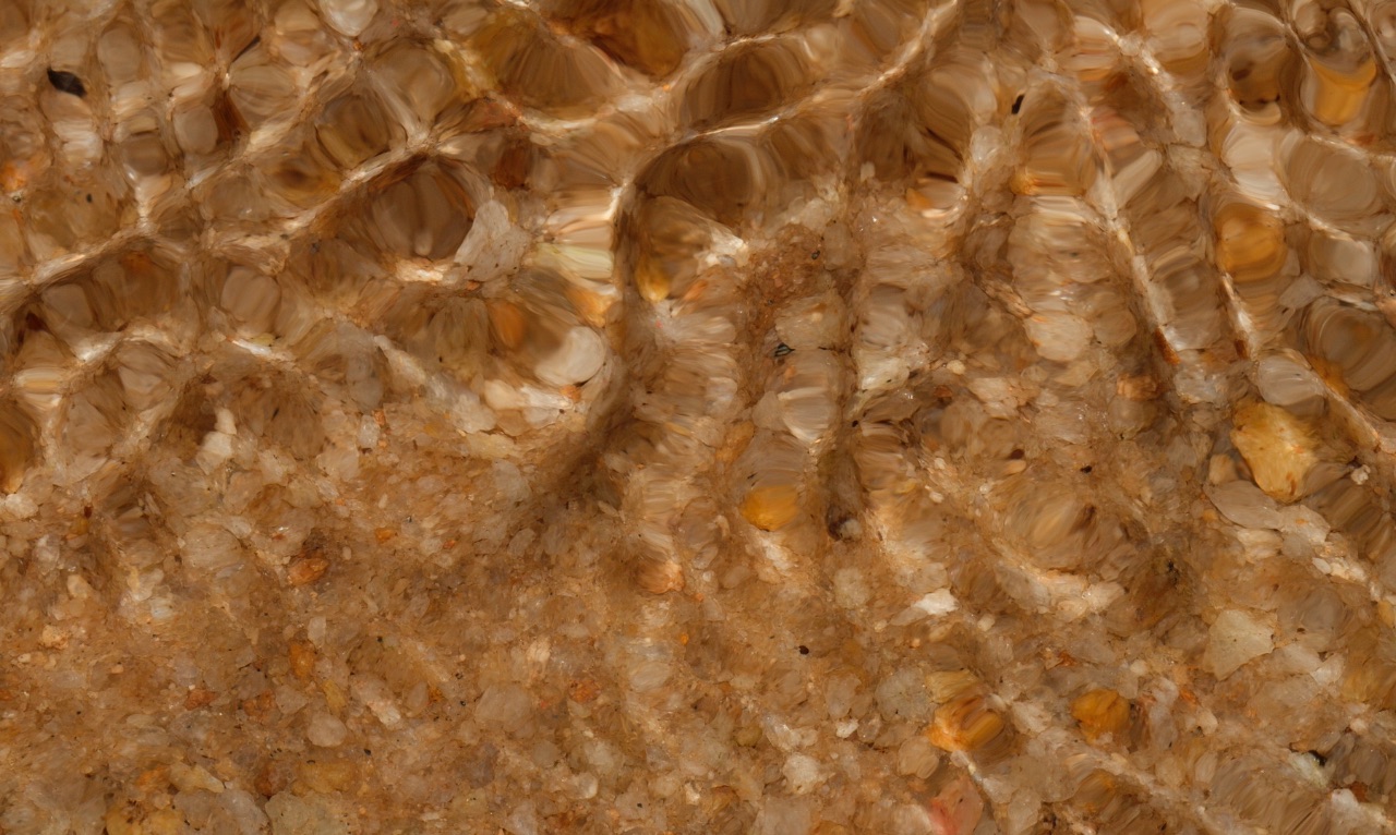 15 – Stream bed, French Guiana