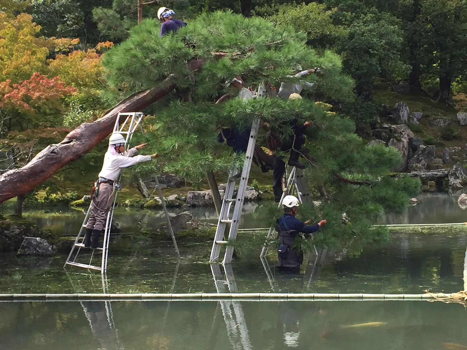 2 – Meticulous care, Arashiyama