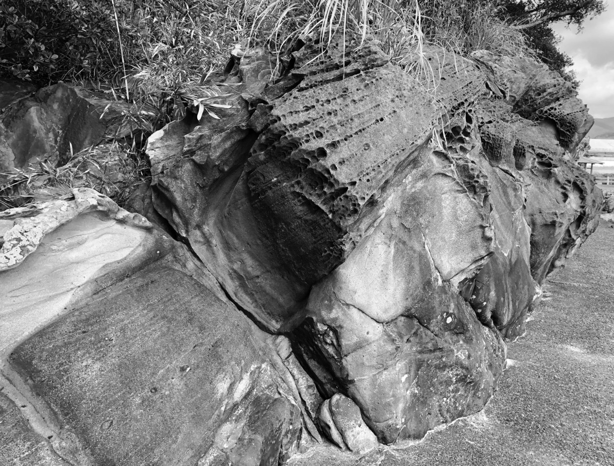 Tatsukushi Marine Park  (竜串海域公園), Japan