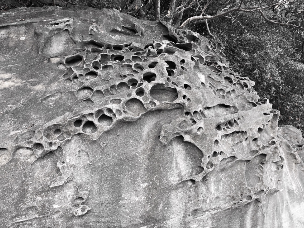 Tatsukushi Marine Park  (竜串海域公園), Japan
