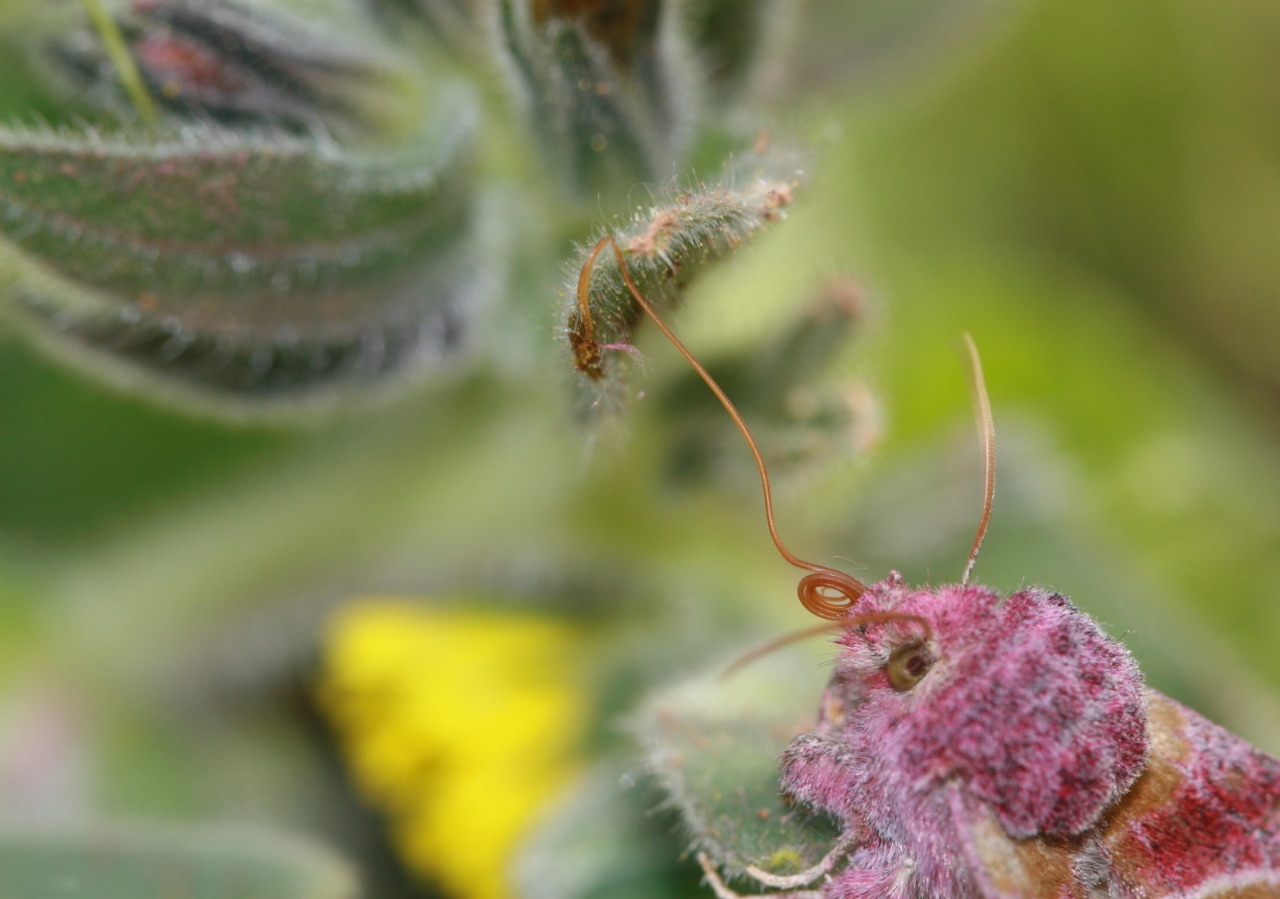 10 – Bon appétit !