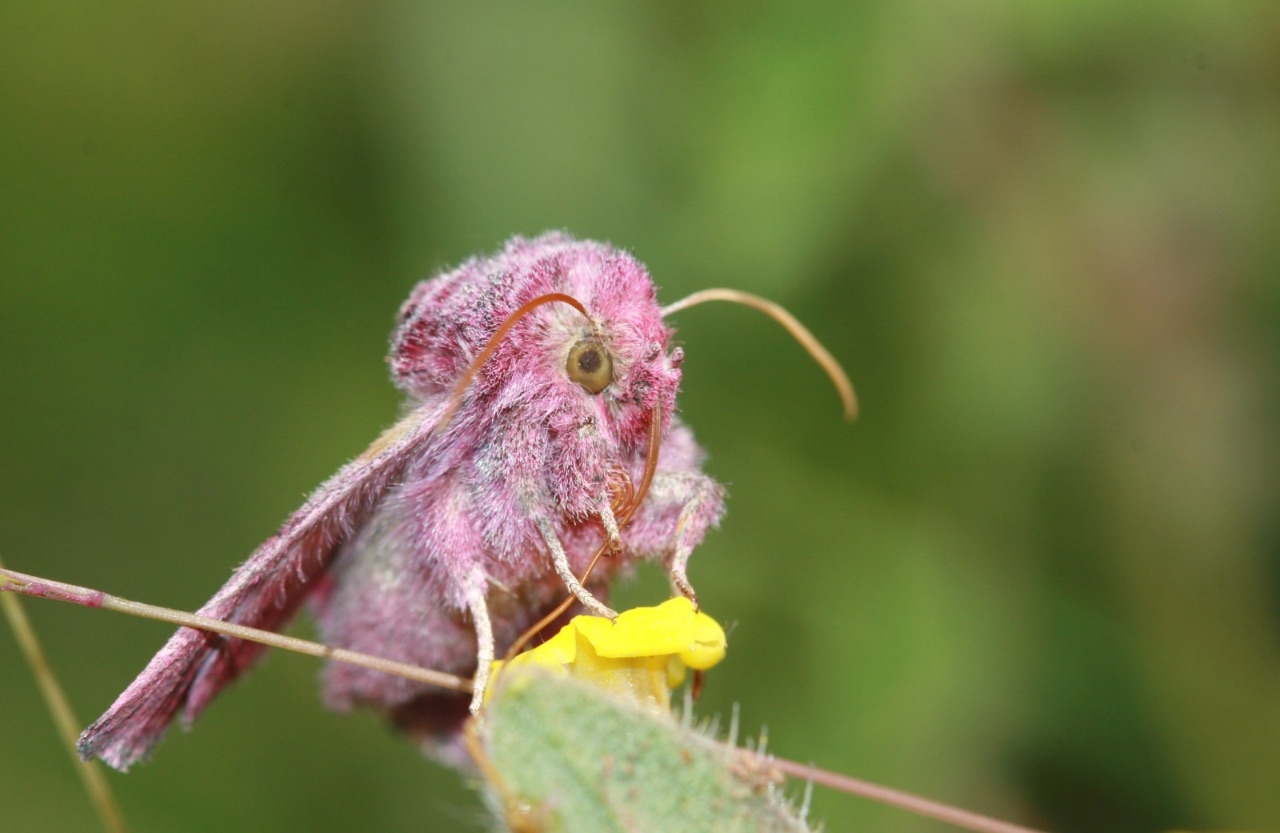 9 – Bon appétit !
