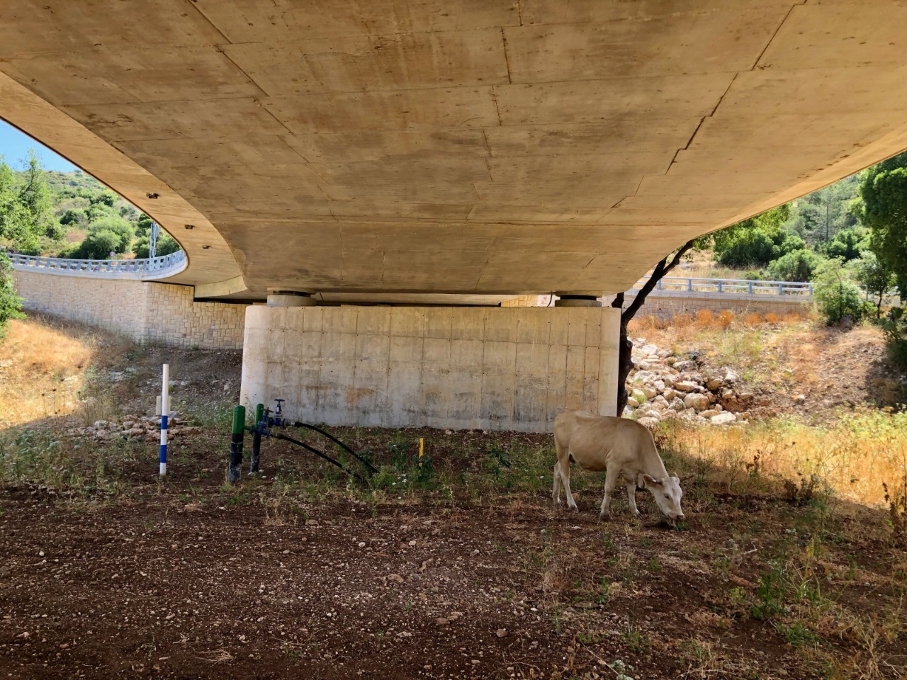 9. Under the bridge, Israel