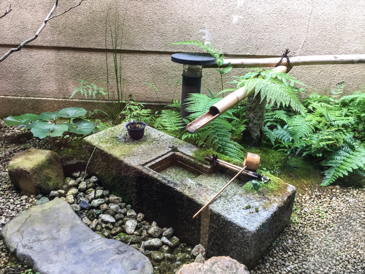 14 – Onsen garden, Arashiyama, Japan