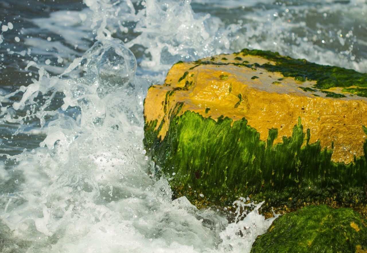 3 – Battle of the elements, Israel