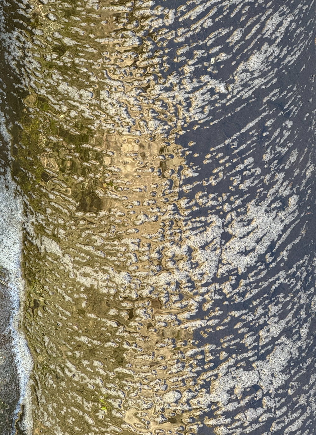 11– Gold and silver, Chafé, Portugal